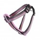 Chest Plate Dog Harness