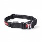 Double Up Dog Collar