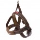 Quick Fit Dog Harness