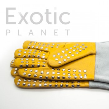 Reptile Handling Gloves - Heavy Duty With Studs