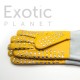 Reptile Handling Gloves - Heavy Duty With Studs